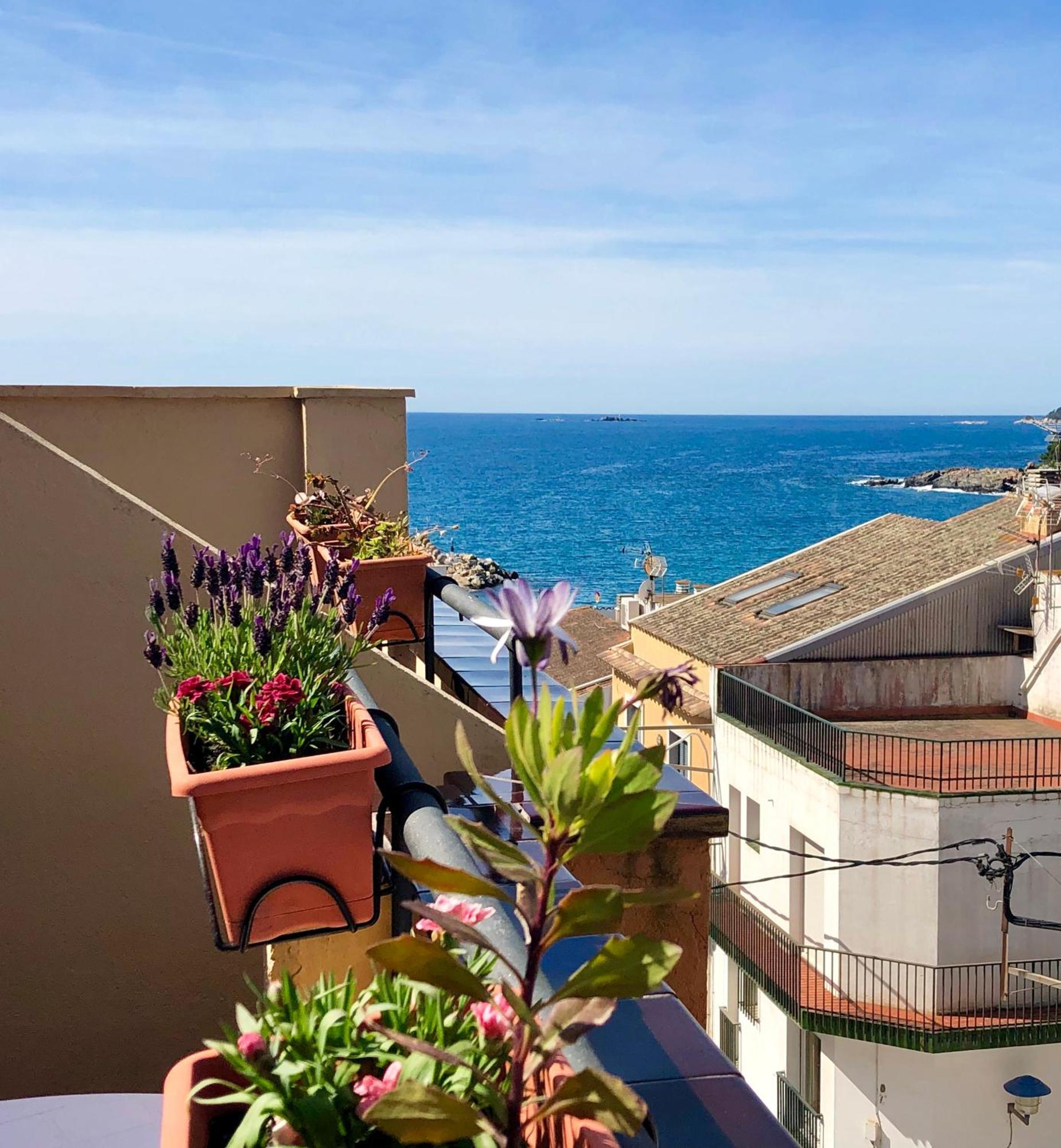 Hotel Montecarlo *